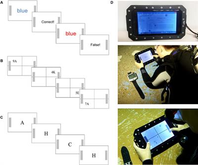 Executive Functions of Divers Are Selectively Impaired at 20-Meter Water Depth